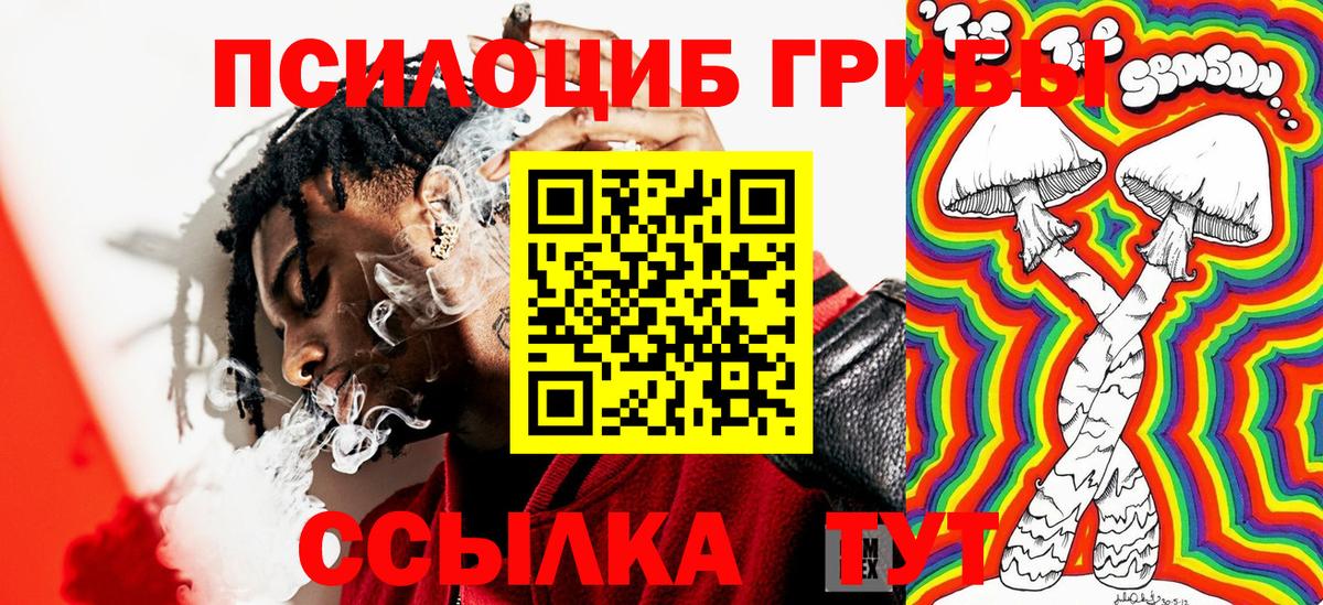Коломна  Галлюциногенные грибы Psilocybe  Вход с VPN 
